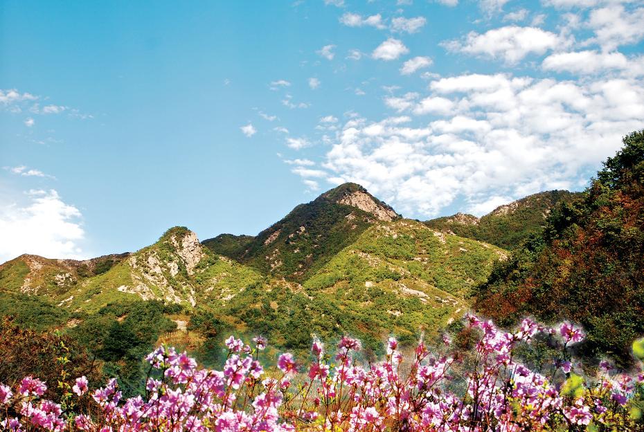 单日1.2万人“涌入”！爱上这个“店”的N个理由