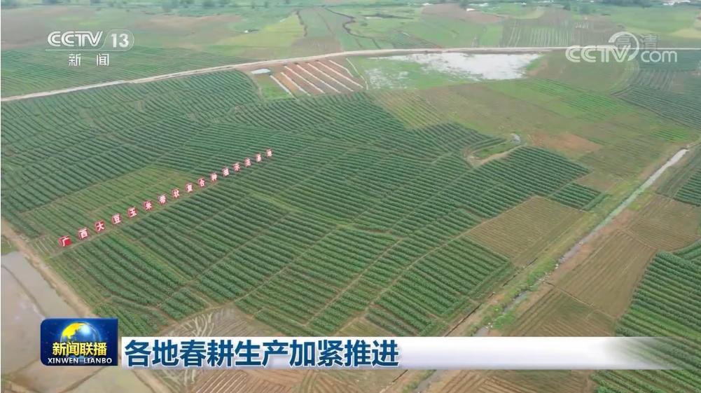 聚传媒力量，发奋进强音！平南县上半年新闻宣传工作亮点来啦→