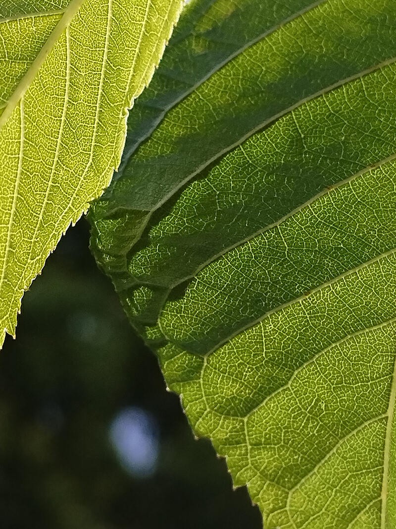 续航可达100公里的电池,续航超1000km的电池