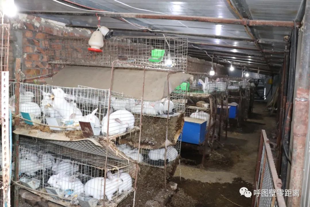 乡村振兴产业养殖介绍,乡村振兴养殖种植一体化