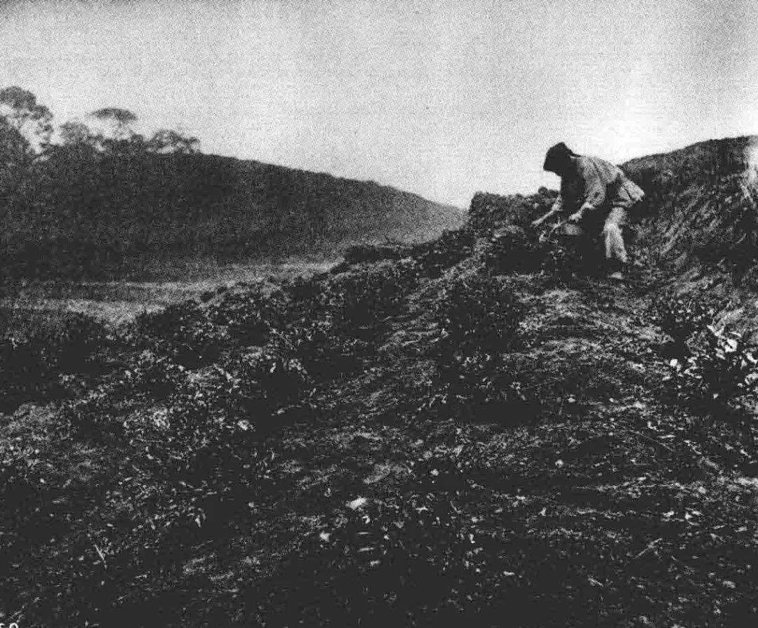 听说明儿下雪，抱紧了我的保温茶杯