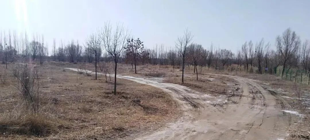 原创|2022迟到的春天之约