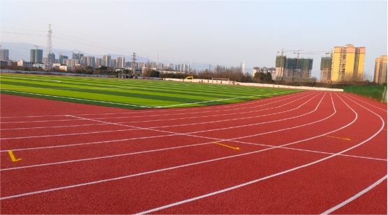 塑胶跑道性能,塑胶跑道运动场性能优势