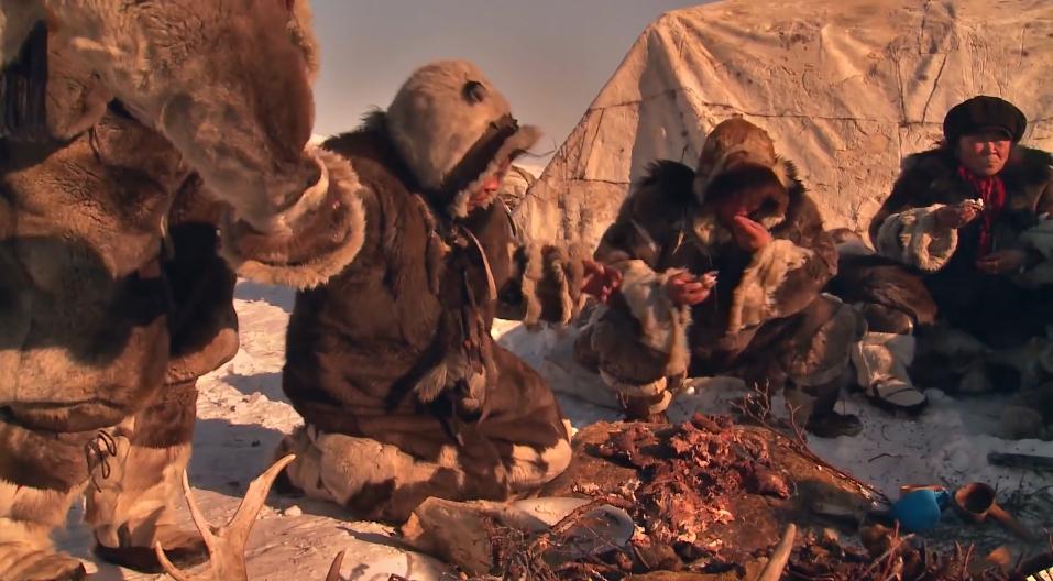 俄罗斯牧民有多少钱,俄罗斯鄂温克人饲养驯鹿