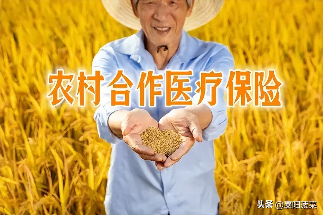 今年的新农合缴费350元含保险吗,新农合350元在哪里交