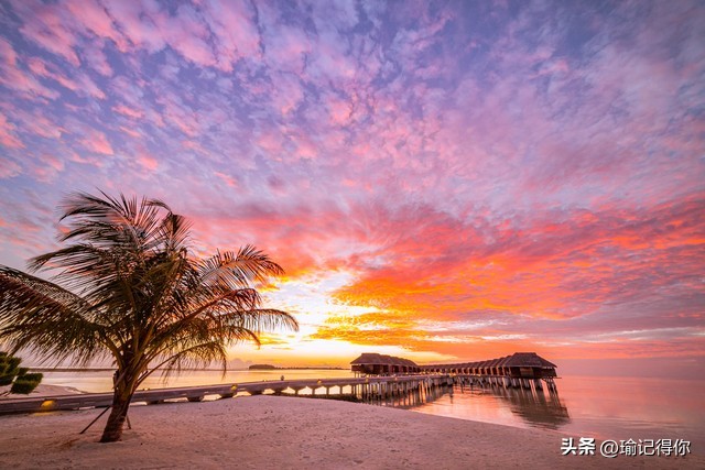 男子低头玩手机差点被绊倒,男子低头玩手机过马路被撞