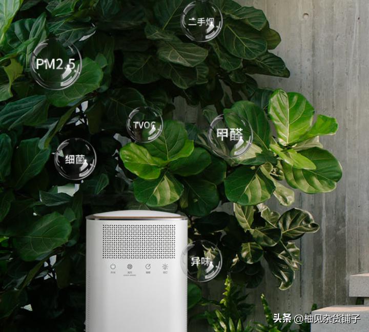 小米空气净化器选购,空气净化器怎么选择最好注意什么
