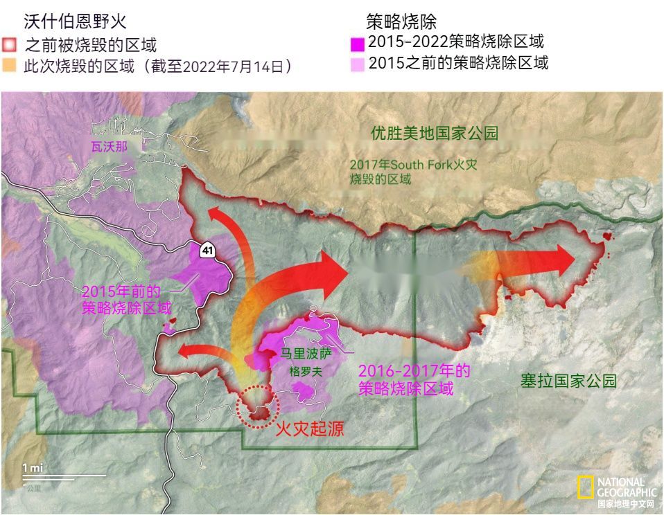怎么防御森林火灾,如何对森林火灾进行扑救