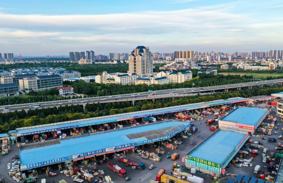 兄弟市淄博喊话山东临沂转一转