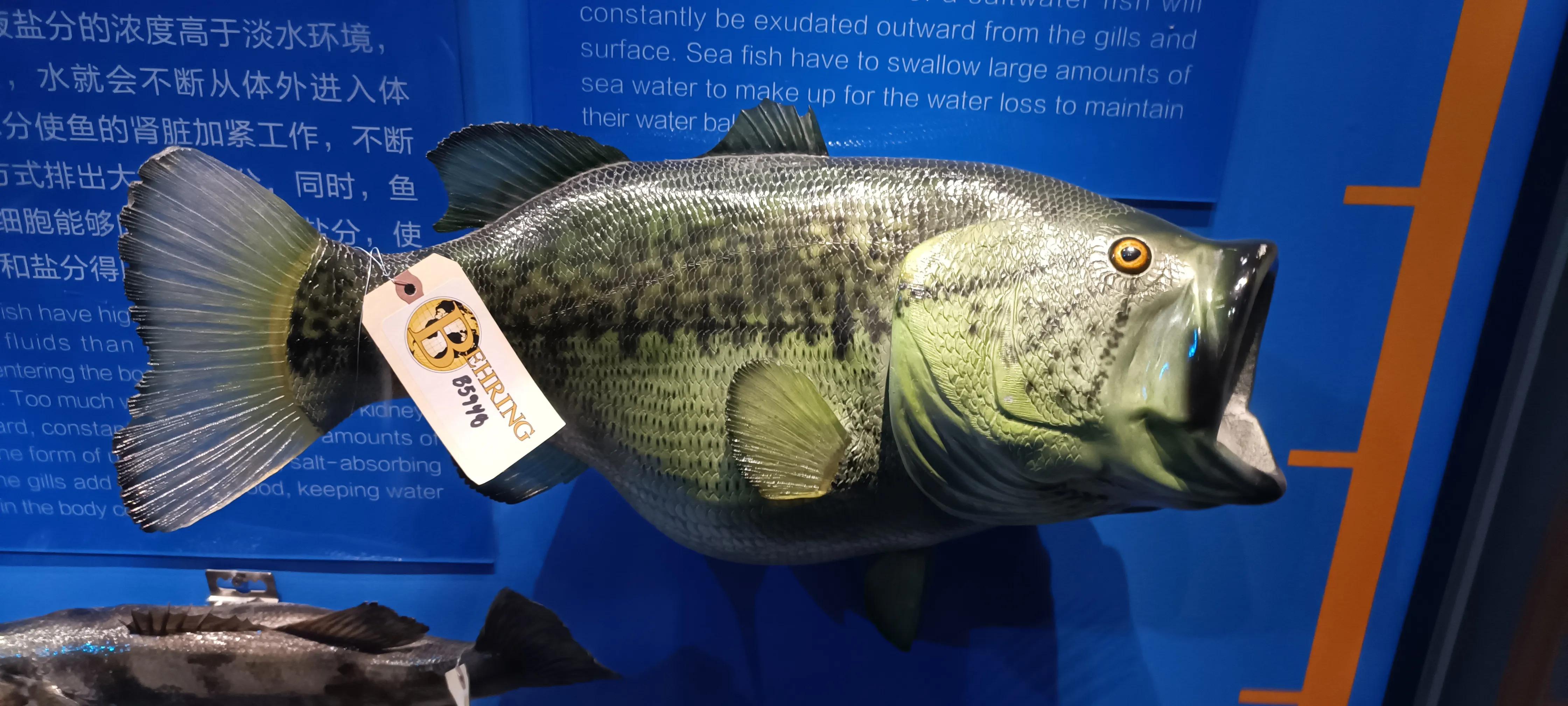 河南省科技馆新馆中标公示,河南省科技馆新馆预约门票