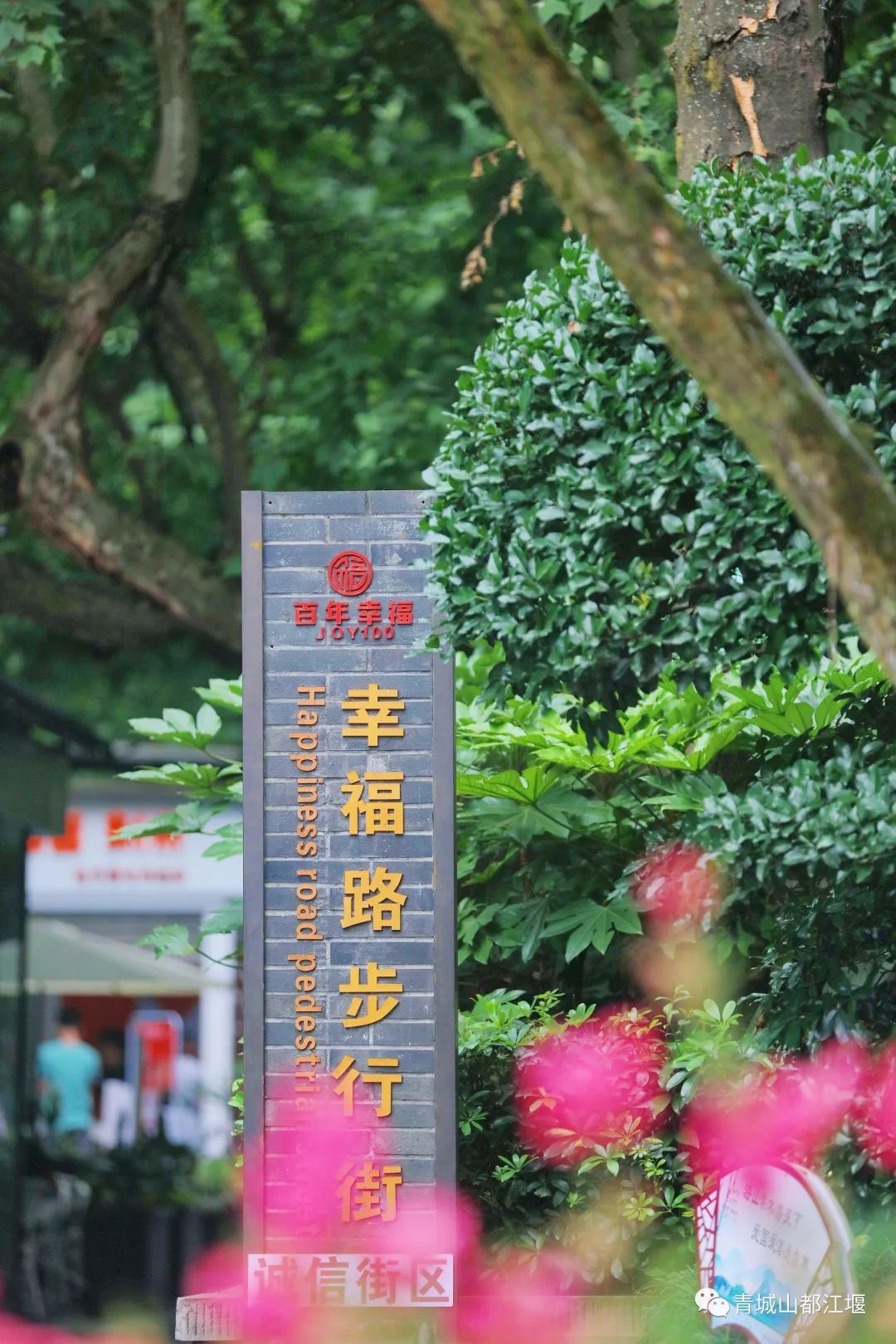 好玩的地方都江堰,来到都江堰晚上好耍的地方