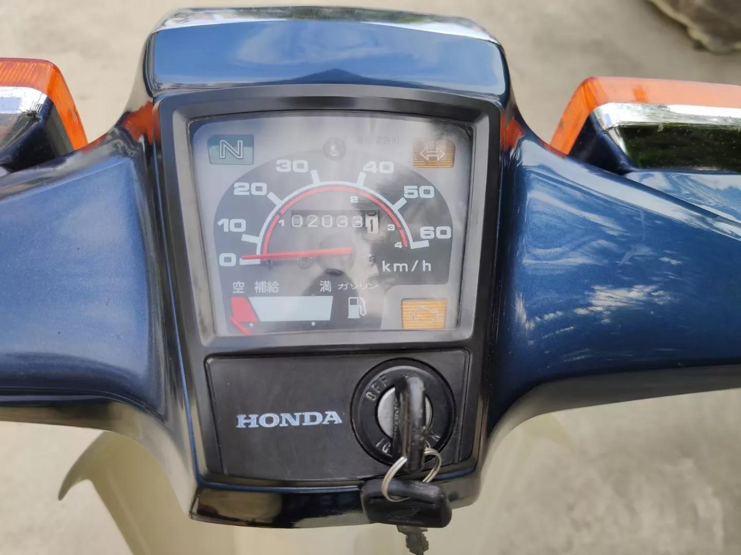 哪些动漫里面有本田幼兽,本田幼兽漫画图片