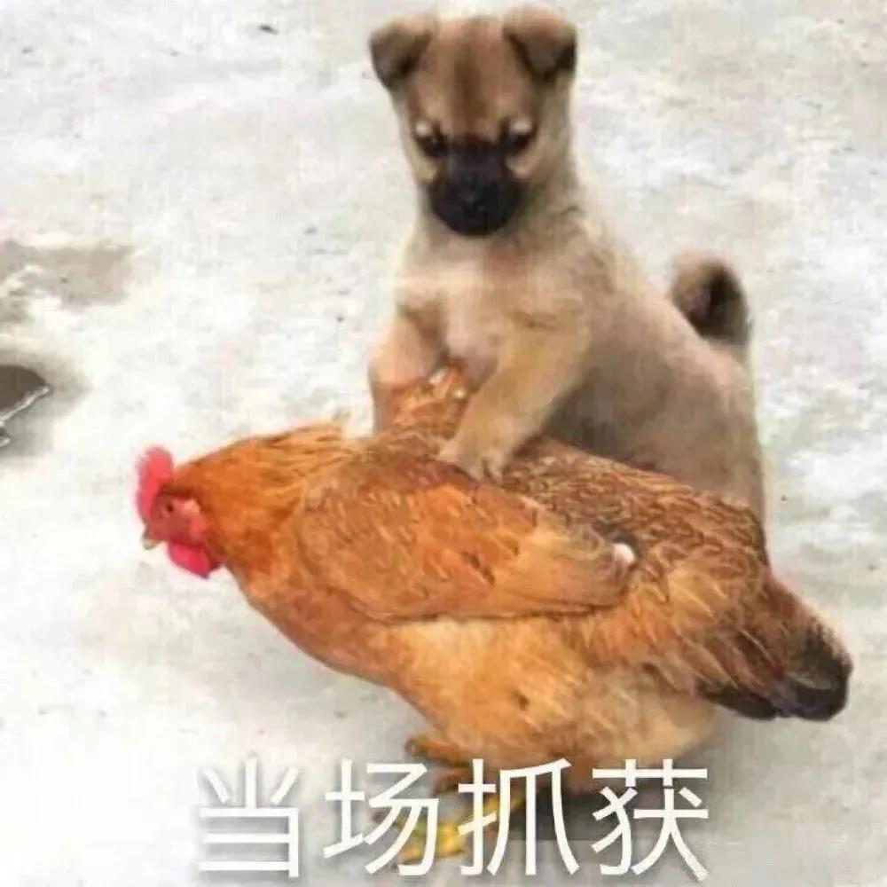 20岁以上男性夫妻正常生理周期,男性生理周期到多大年龄才算正常