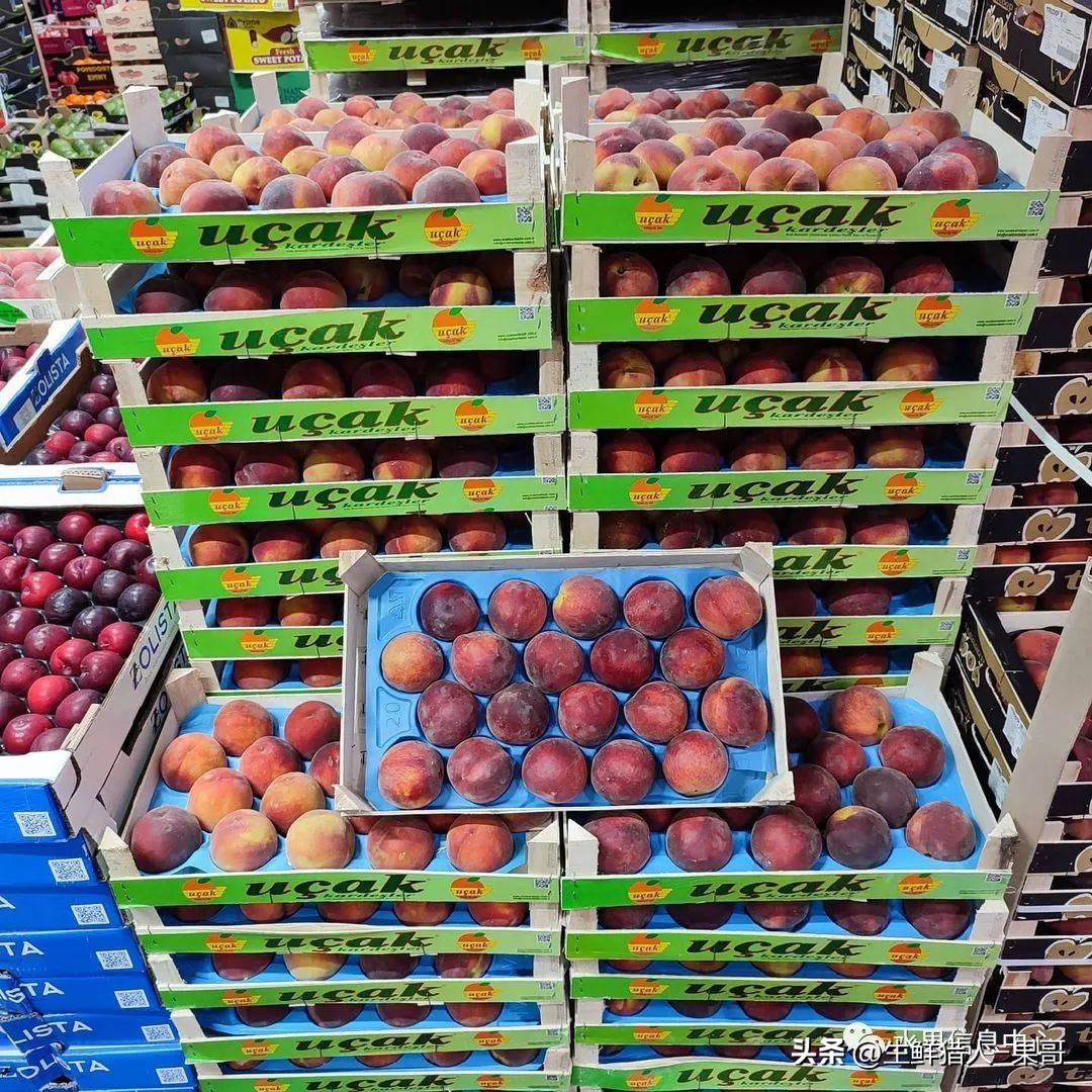 世界第一果蔬批发市场,中国十大果蔬批发市场