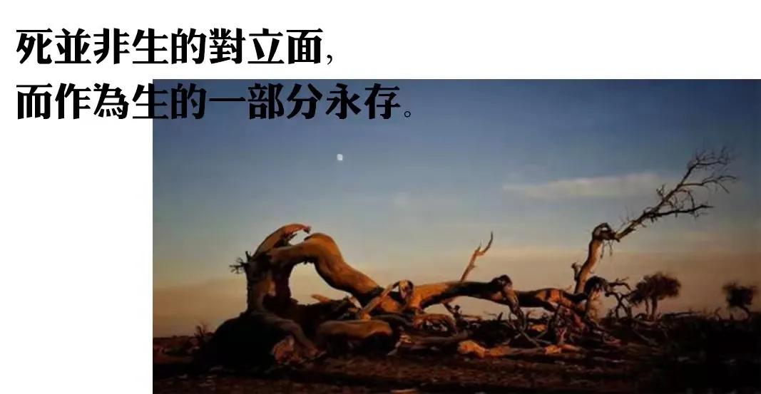 挪威的森林纯粹的爱情,青春爱恋那些事知乎