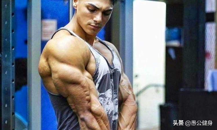 如何让上臂肌肉变大,怎么练上臂变粗壮