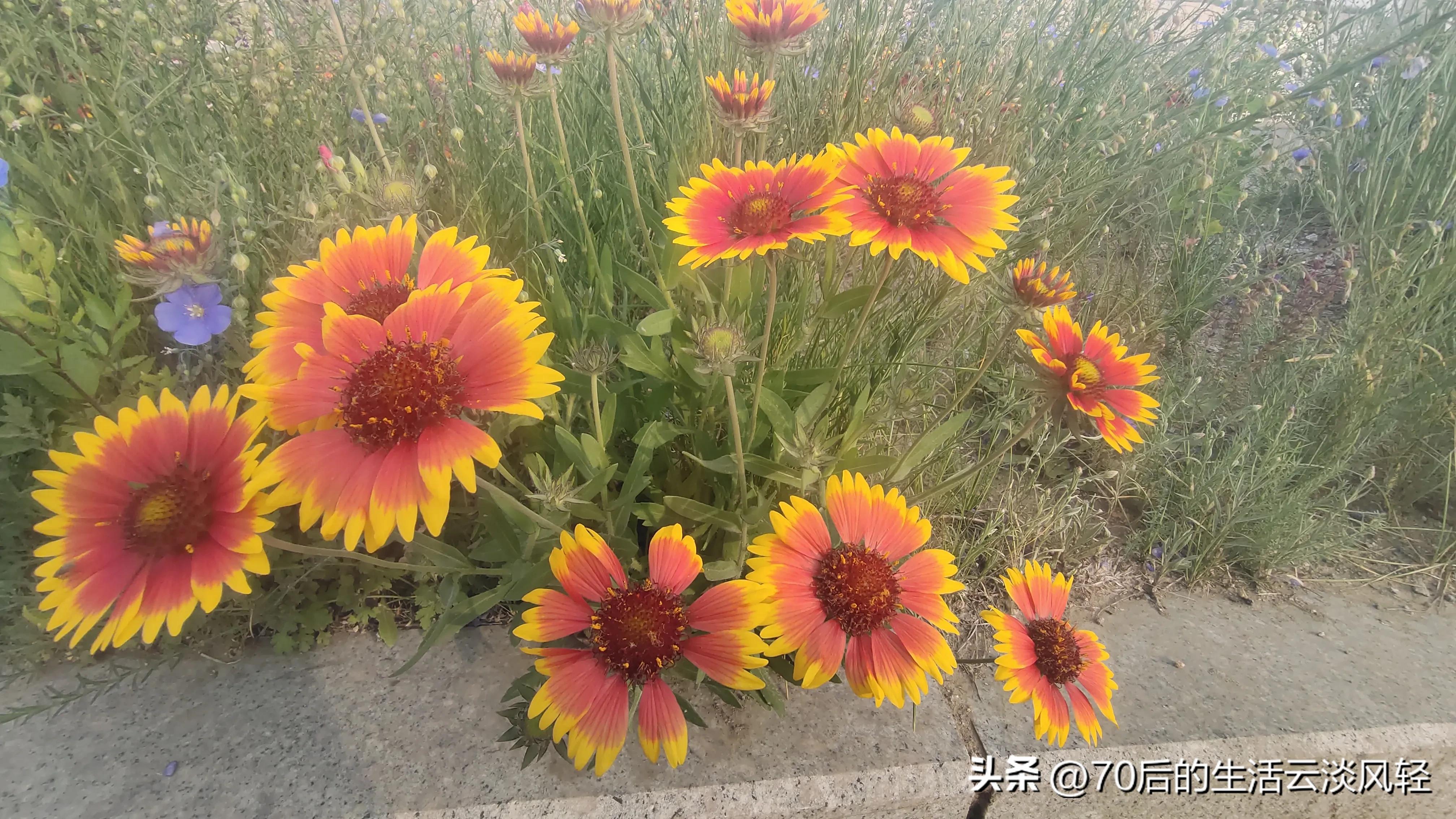 二十公里的路程,用脚步丈量一路的风景