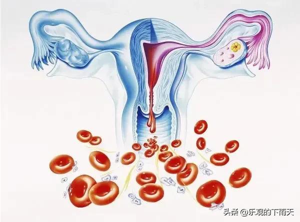 女儿月经初次来潮还能长高吗,女儿第一次月经家长应怎么教导