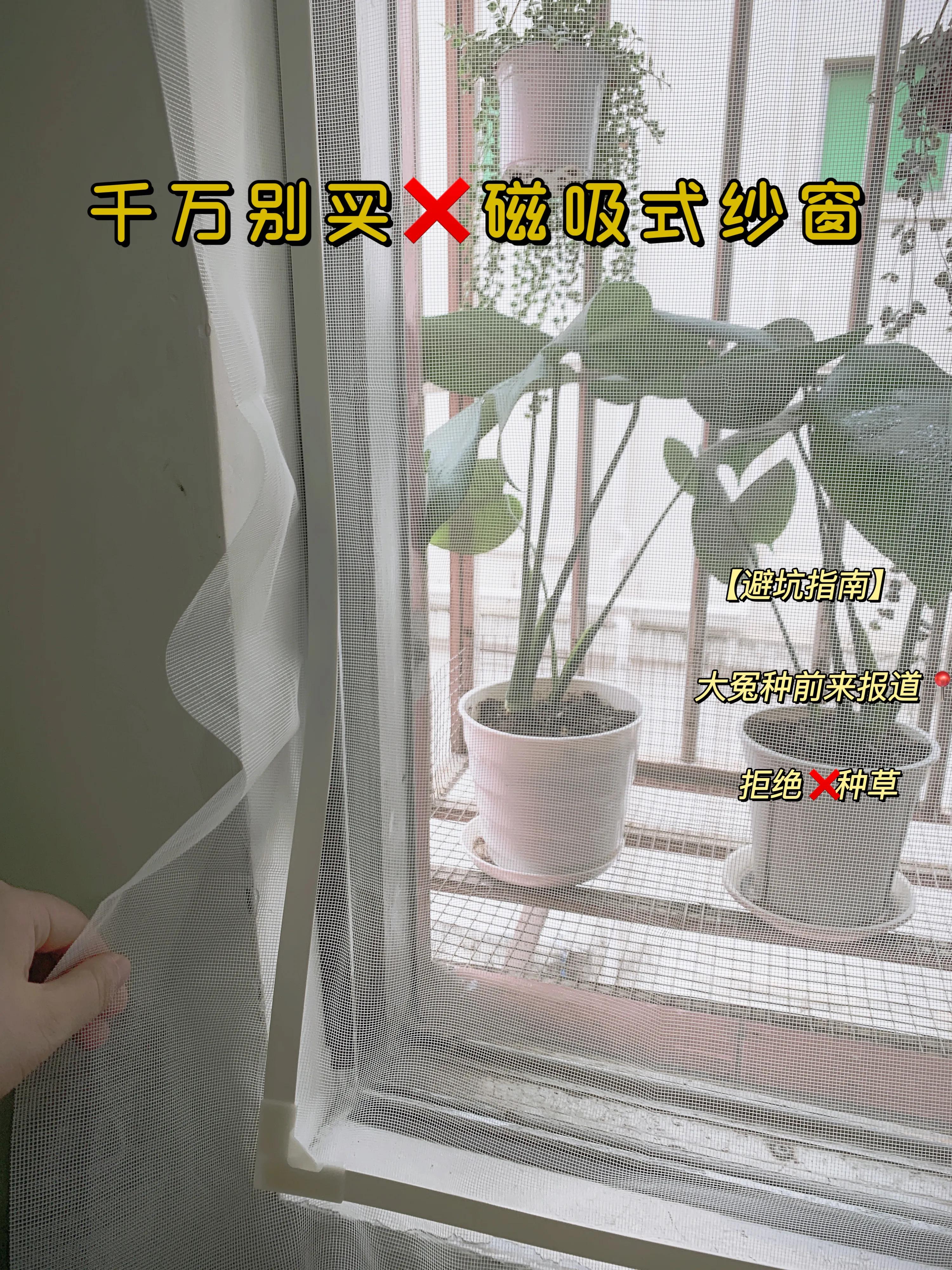 久敏！你不会还在种草磁吸纱窗吧？没想到大冤种竟然是我