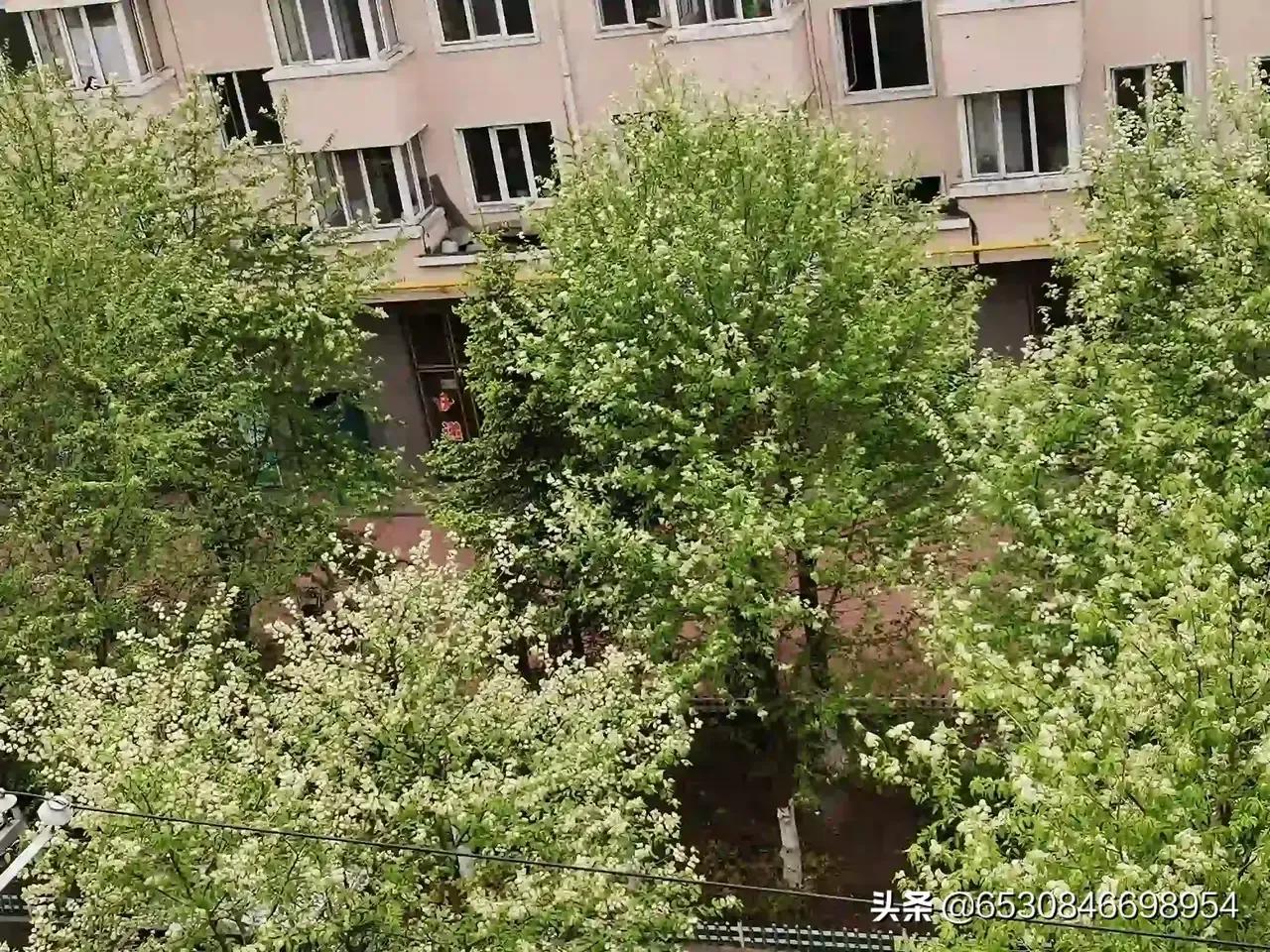 别了,小甲壳虫!(文/鸿运)