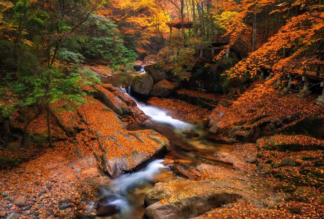 四川光雾山风景视频,光雾山旅游景区