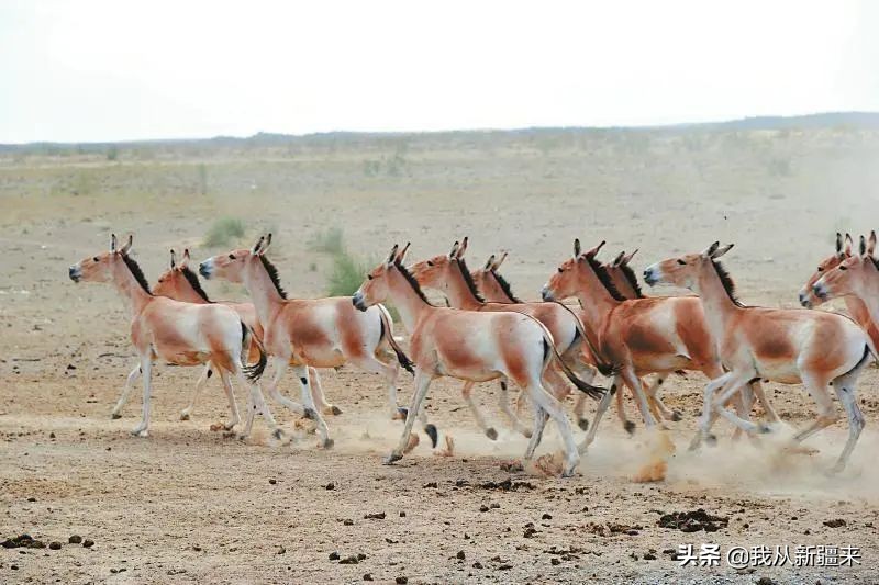 测评omg神仙眼影简直太美 (omg眼影值得入手吗)