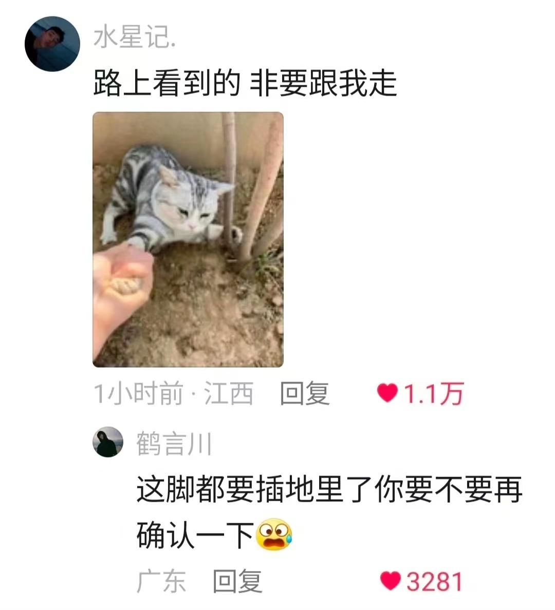 自从买了这个手机壳，我就经常找不到手机了