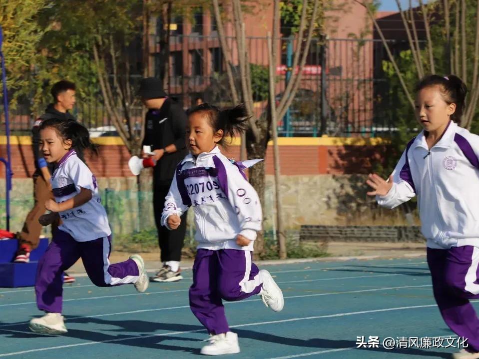 扬体育精神展学子风采,小学运动会弘扬体育精神
