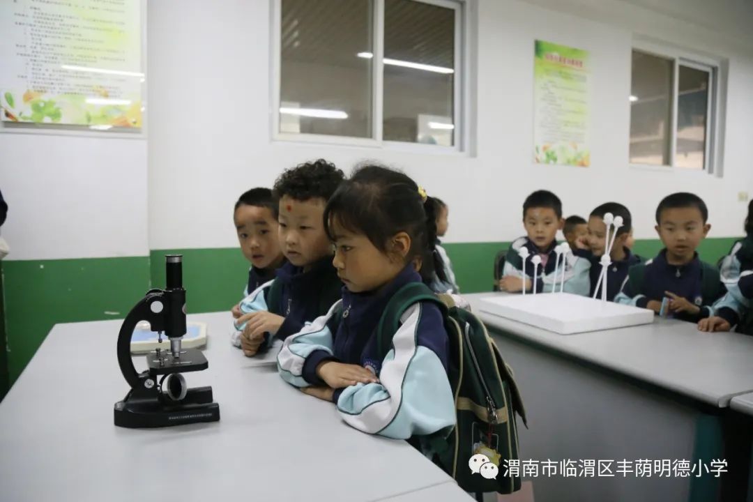 涓板窞骞煎皬琛旀帴,涓拌崼