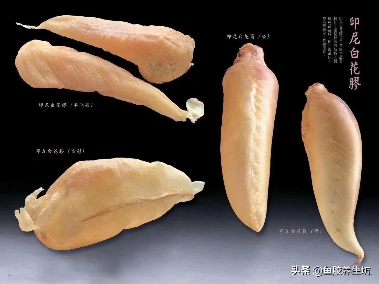 白花胶视频大全,白花胶的使用方法视频