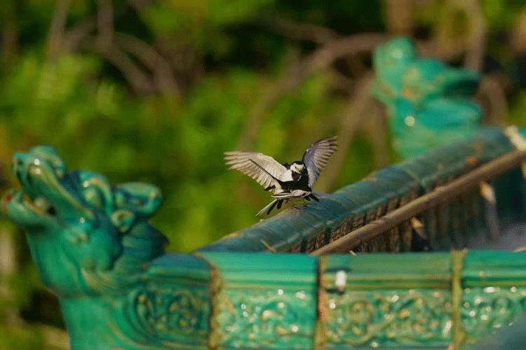 赏城中美景，品厦门味道。城市中心C位酒店，毗邻植物园、中山路