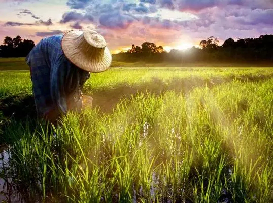 江苏南通穷地方,江苏最好的农村在南通