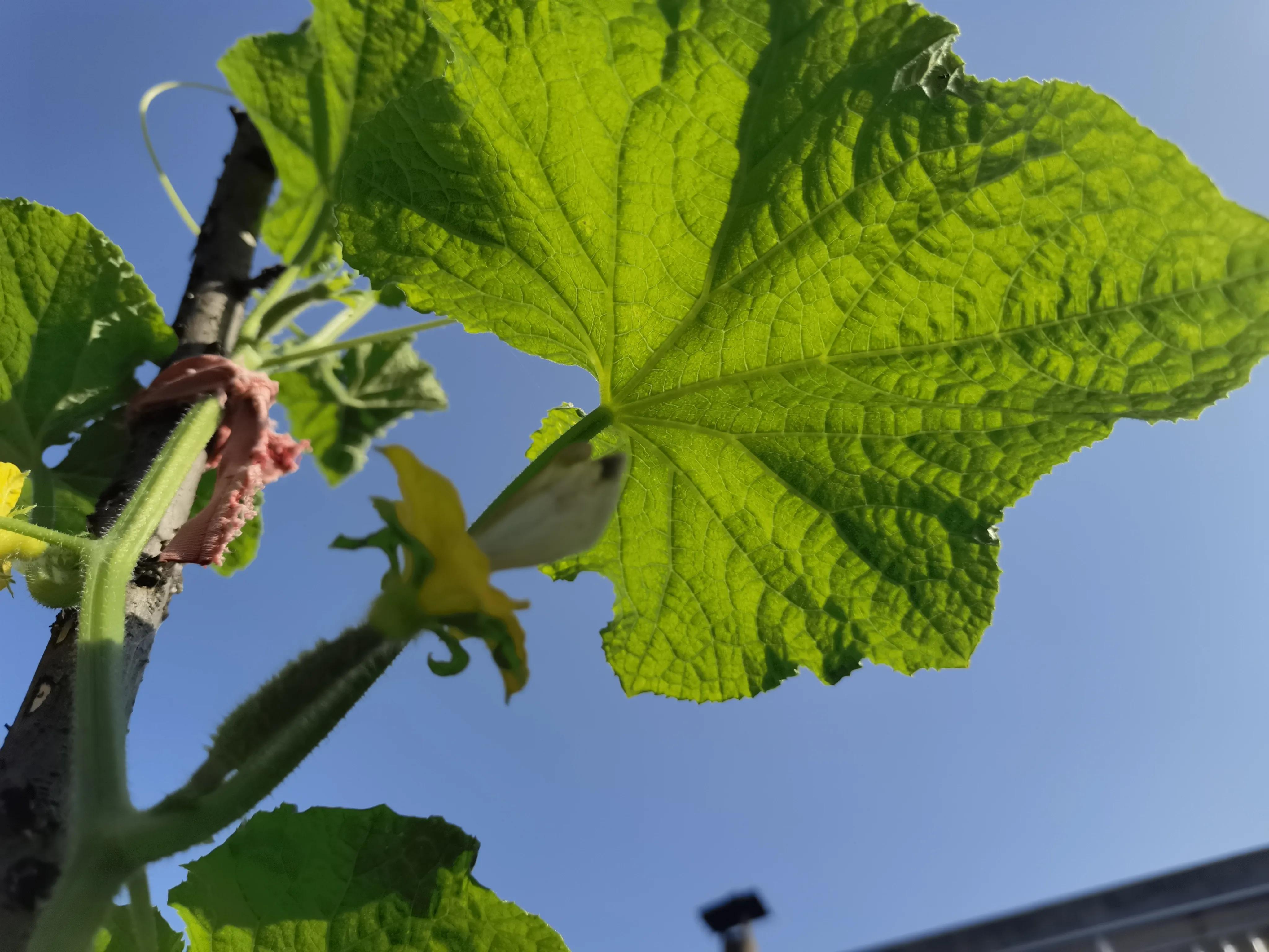 不是亲姐妹胜似亲姐妹,不是亲姐妹胜似亲姐妹的句子