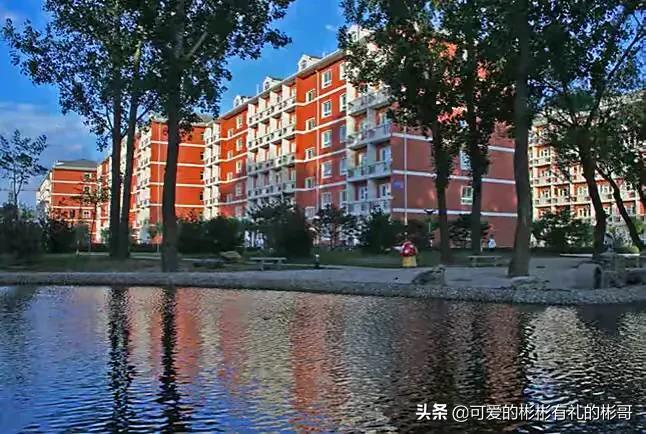 华北电力大学入电网就业率,华北电力大学电气专业毕业生去向