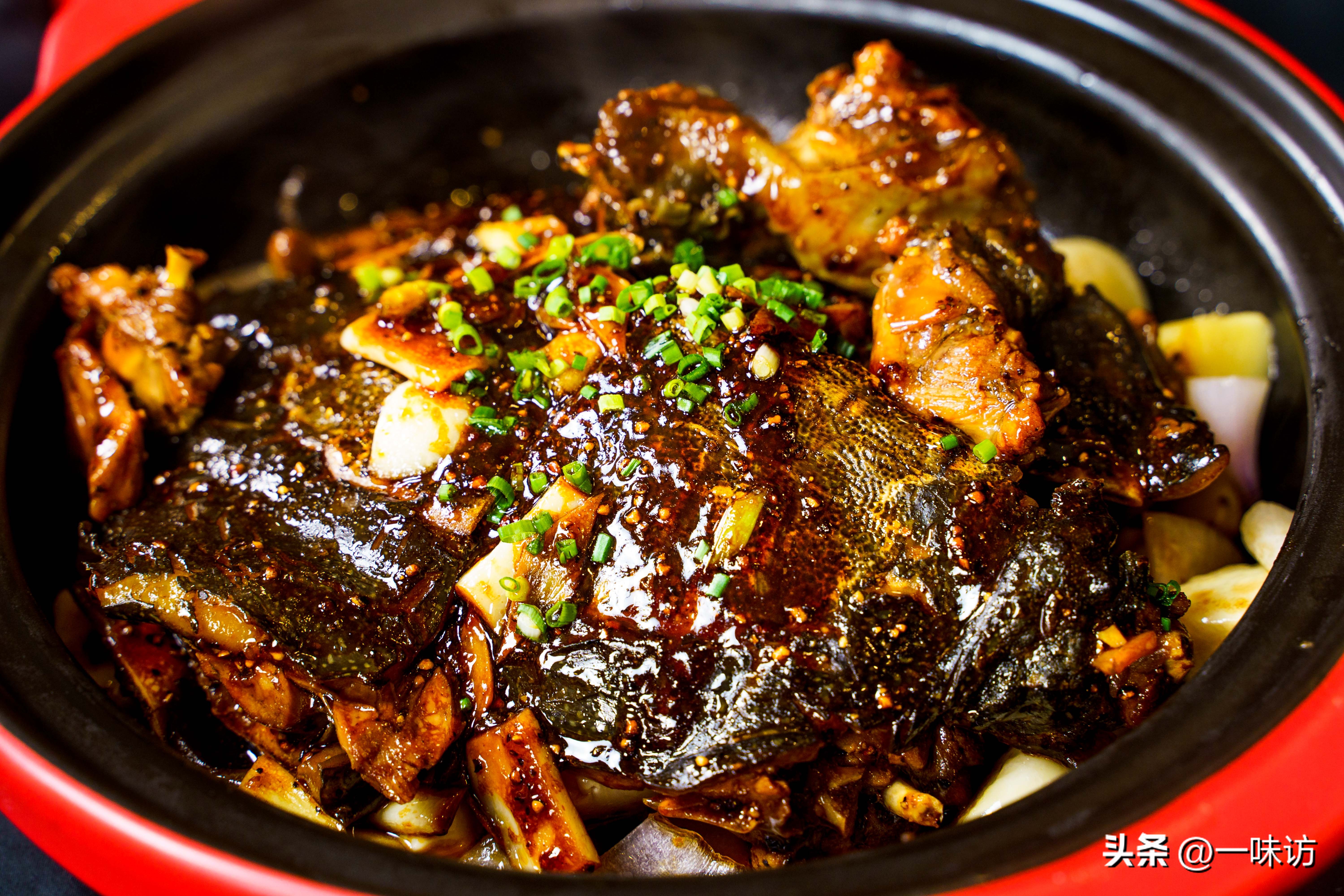 地摊麻辣甲鱼最正宗做法,甲鱼餐饮项目做法