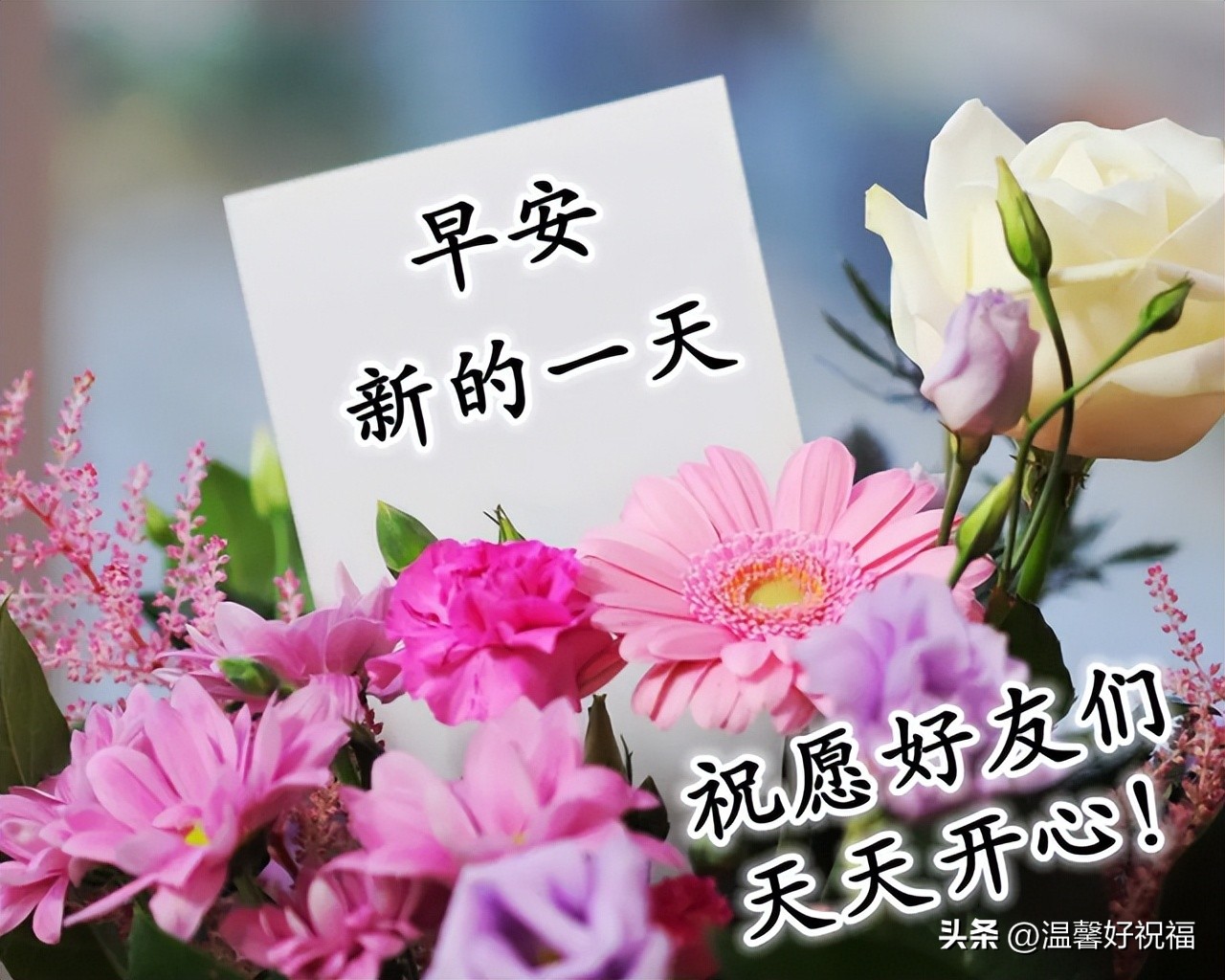 最真挚的祝福和问候早上好表情包,早上好图片带字逗人开心表情包