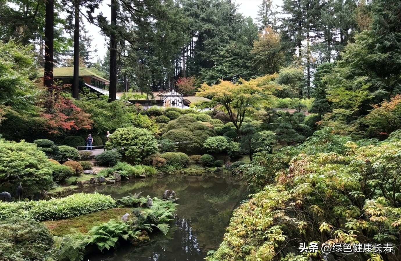 波特兰日本花园游玩,世界花园打卡