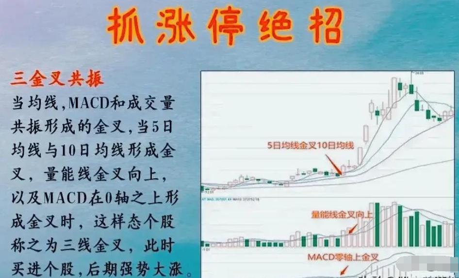 股票涨停前一天有哪些征兆,股票涨停前的表现现象分析