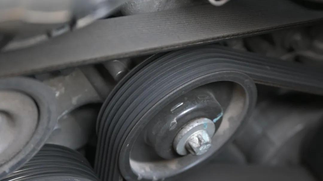 诺总日记,诺总日记最新视频