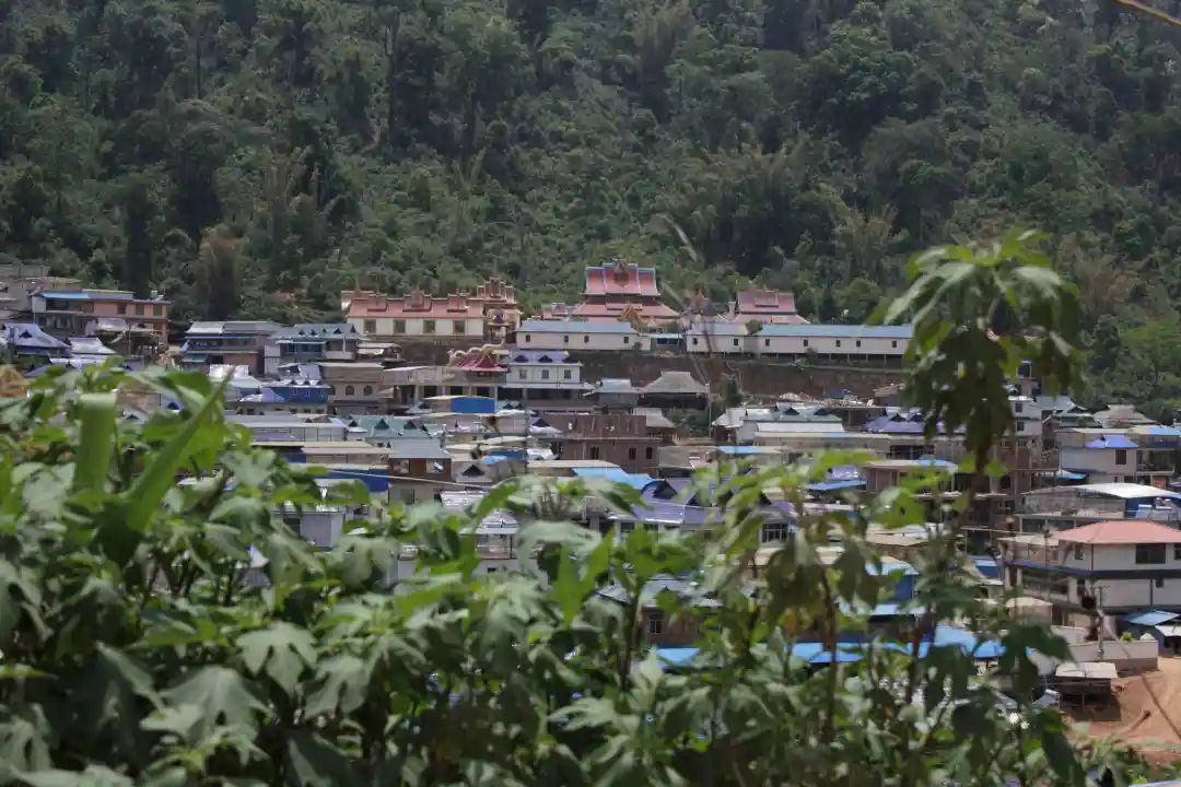 普洱茶各大山头的特性和口感图文,普洱茶老茶头的口感特点有哪些