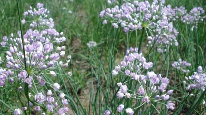 山中送别古诗词,支教送别古诗词