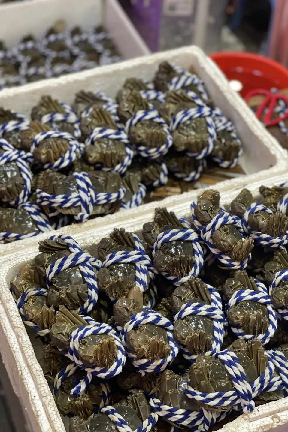 深圳冬天适合吃什么,深圳的冬天适合吃啥