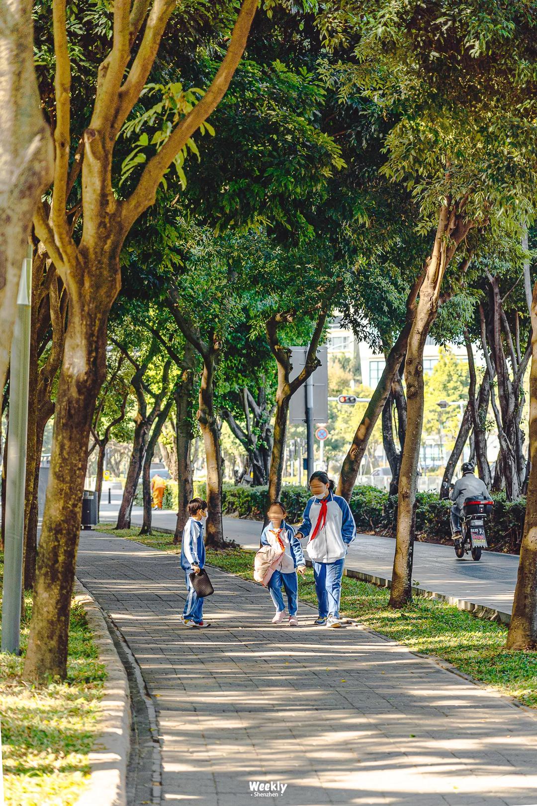 真羡慕那些住高档小区的人,真羡慕住在海边的人