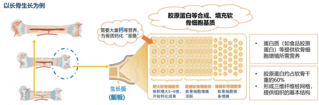 儿童身高标准表你家娃达标了吗,全方位解析儿童各项身高标准