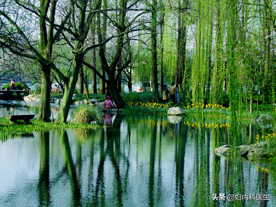 户外被蜂螫后该如何急救,被蜜蜂螫伤了怎么办