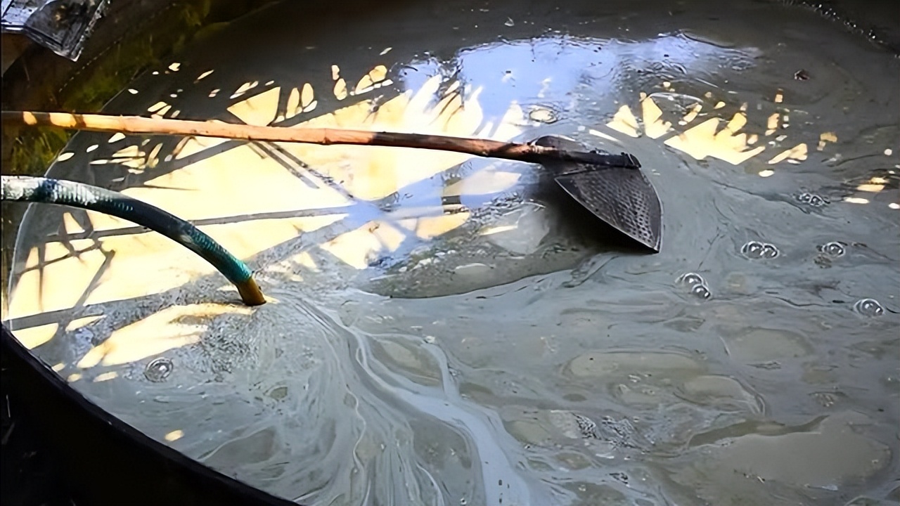 中国经济大发展，从巴西装1亿2000万斤白糖回国，印度要羡慕了