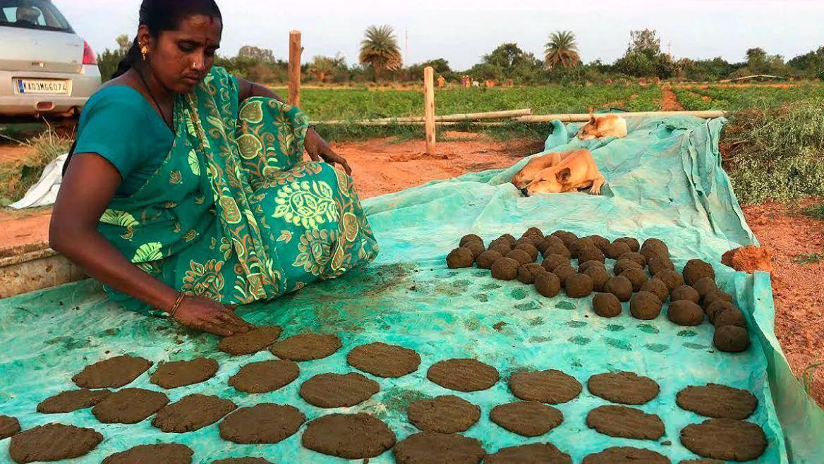 鍥藉榛戞殫缇庨鏂欑悊,鍥藉10閬撲护浜哄穿婧冪殑榛戞殫鏂欑悊