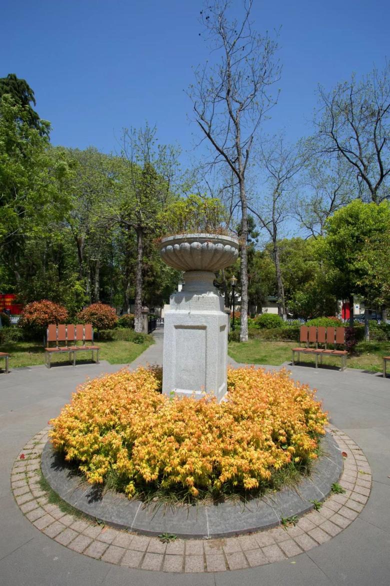 变红变绿的植物有哪些品种,拥有红色绿色两种颜色的植物