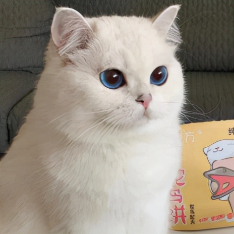 猫屎咖啡是怎么由来的,猫屎咖啡形成过程