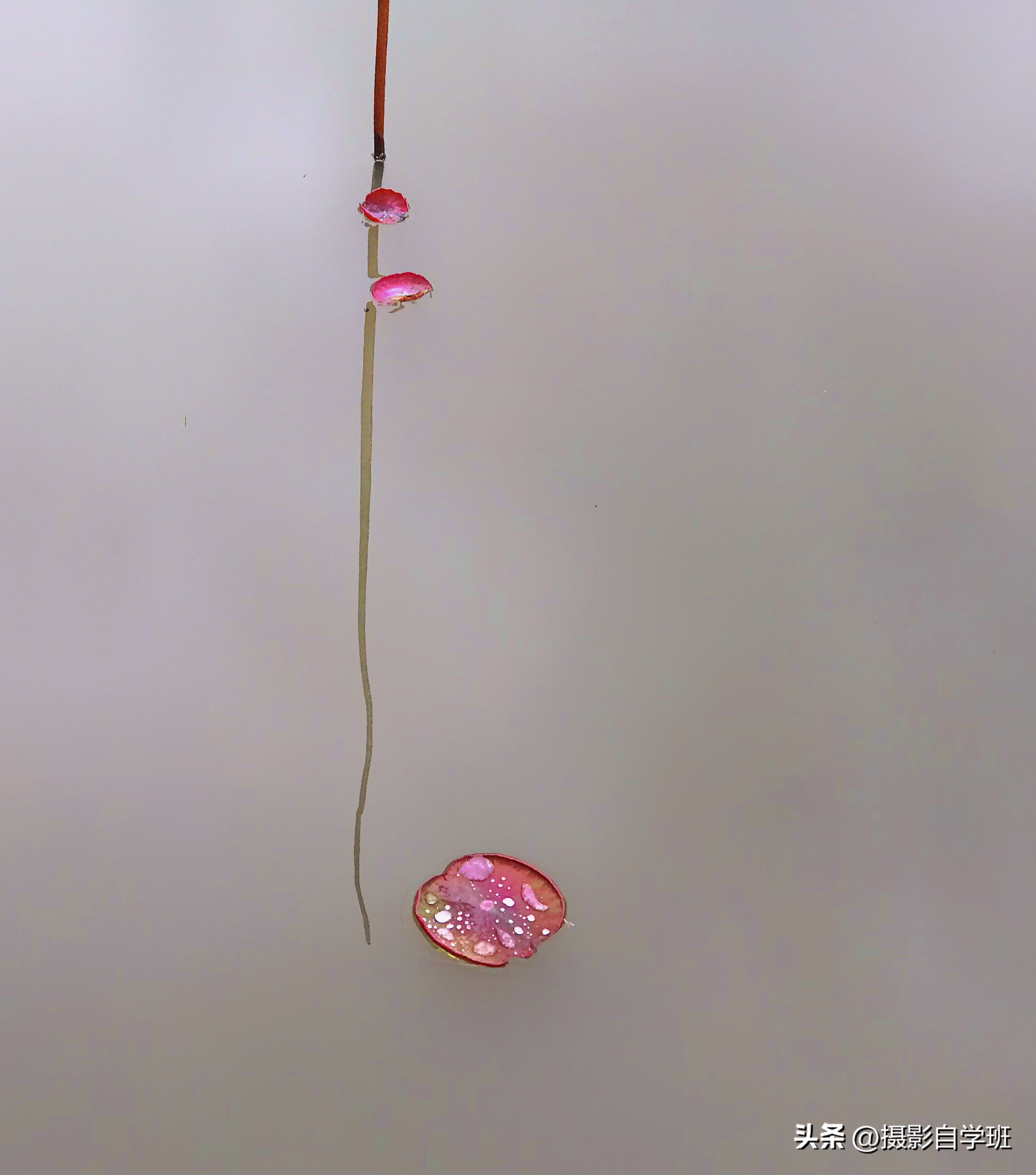 摄友投稿图片,摄友投稿旅行记录图